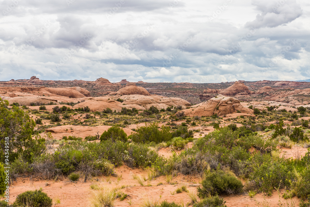 Arches National Park