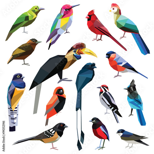 Birds-set colorful birds low poly design isolated on white background.
Hummingbird,Pitta,Finch,Leafbird,Drongo,Martin,Hornbill,Cardinal,Turaco,Sapsucker,Piculet,Towhee,Jay,Weaver,Trogon.