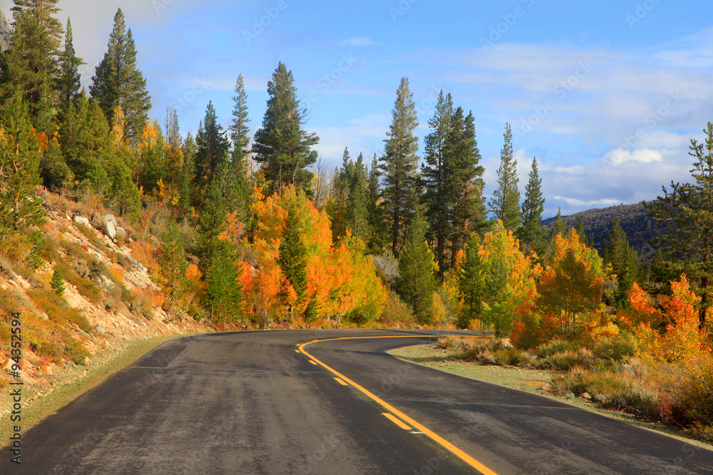 Scenic autumn drive in eastern Sierra mountains