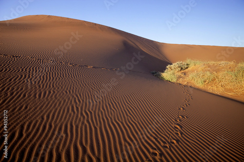  a sand dune Sossusvlei  Namibia