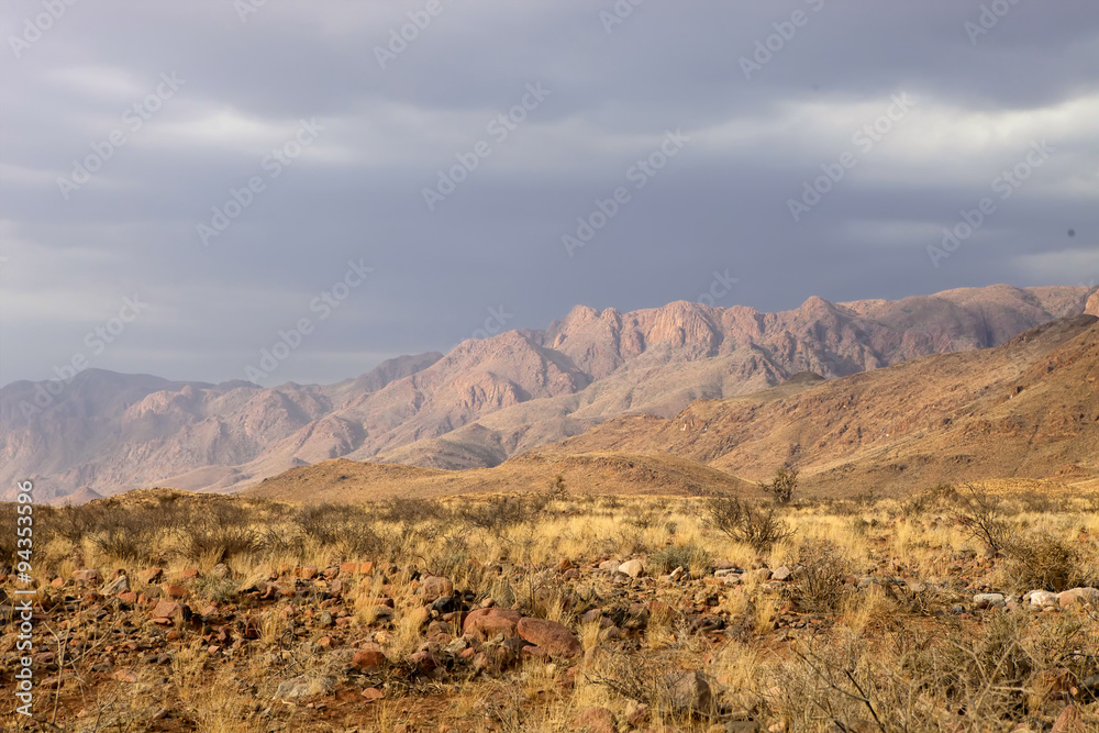 desert landscape after a storm, northern Namibia