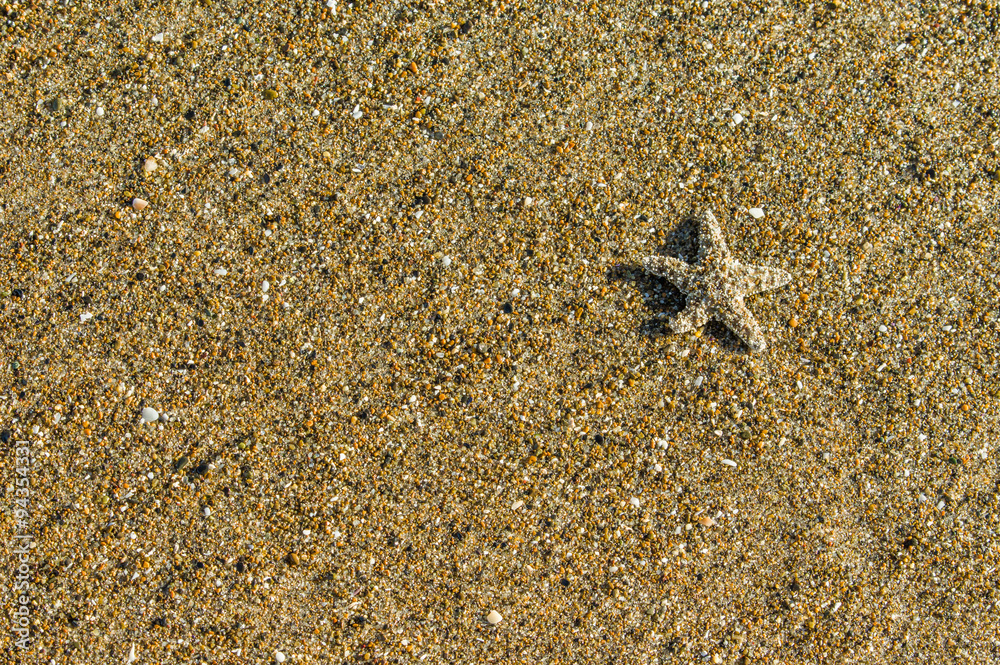Background of sand with small starfish Background of sand with small starfish