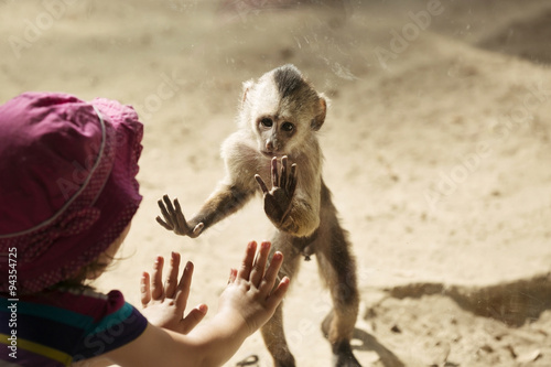 Monkey Playing With Toddler Girl