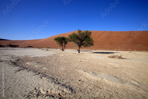  a dry lake Sossusvlei  Namibia