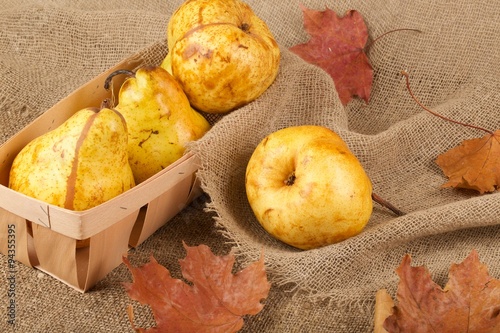Yellow pears photo