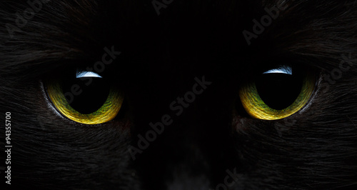 Yellow-green eyes of a black cat close-up