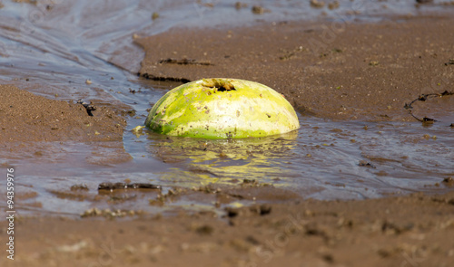 watermelon in the sand on the lake