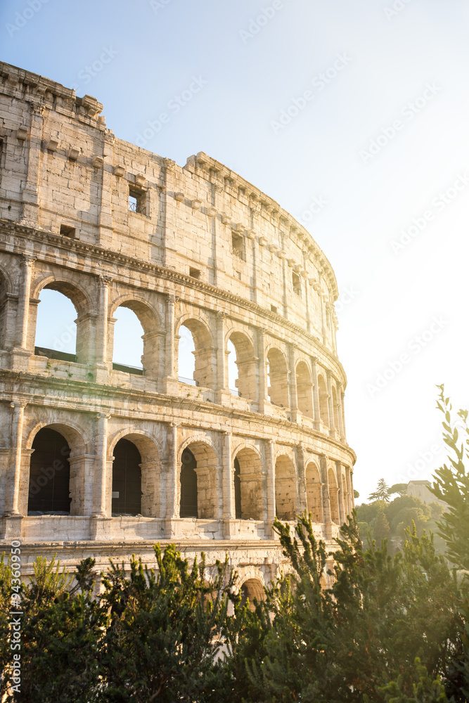 Fototapeta premium Colosseum in Rome, Italy