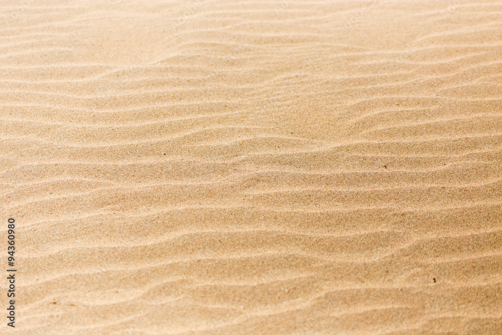 sand in nature as a background