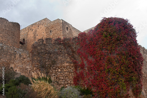 consuegra castle photo