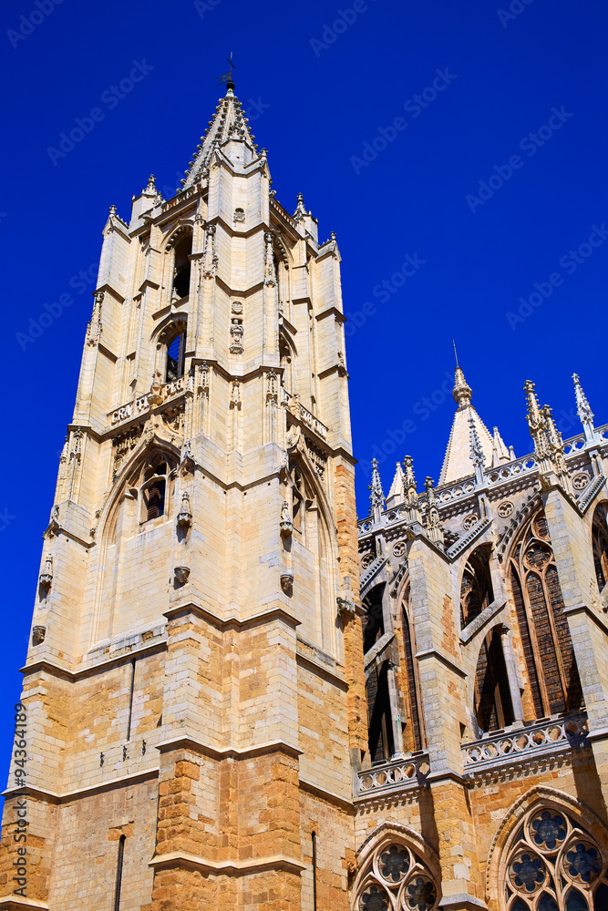 Fototapeta premium Cathedral of Leon in Castilla at Spain