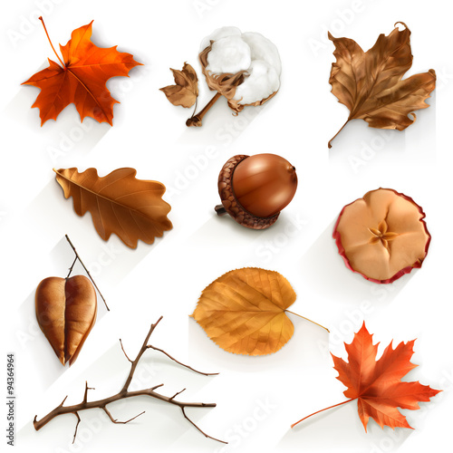 Autumn scrap set, vector elements