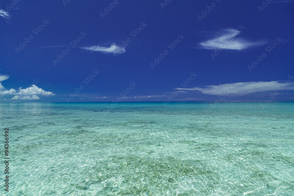 Stunning splendid gorgeous natural view of Cuban beach tranquil ocean against dark blue pretty sky background
