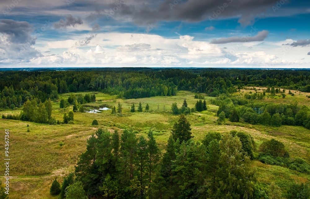 View from the tower in the national park Zemaitija in Lithuania