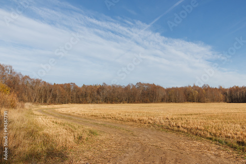 Autumn landscape on a sunny day with a dirt road at the edge of the field from the harvest