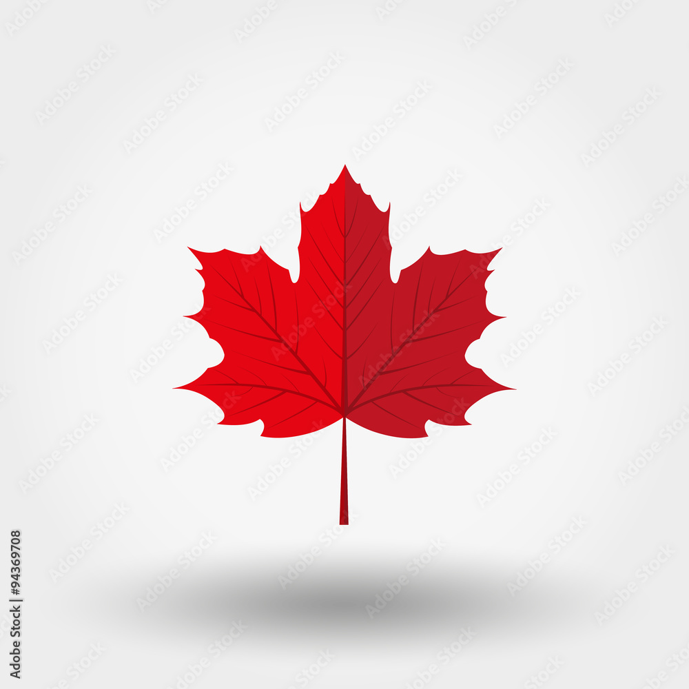 Red maple leaf icon. - obrazy, fototapety, plakaty 