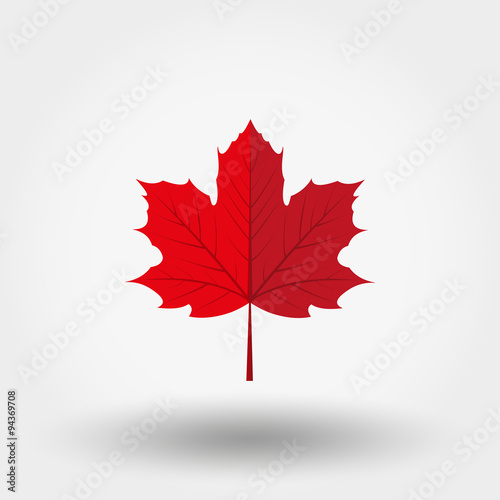 Red maple leaf icon.