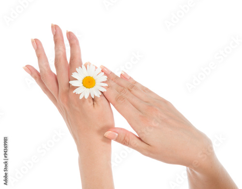 Beautiful woman hands french manicure with camomile daisy flower