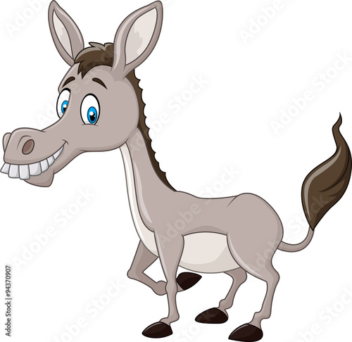 Funny donkey isolated on white background   © tigatelu