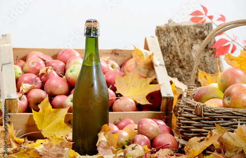  bottle of Normandy Cider, with many apples photo