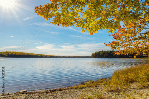 Kejimkujik lake in fall from Jeremy Bay Campground photo