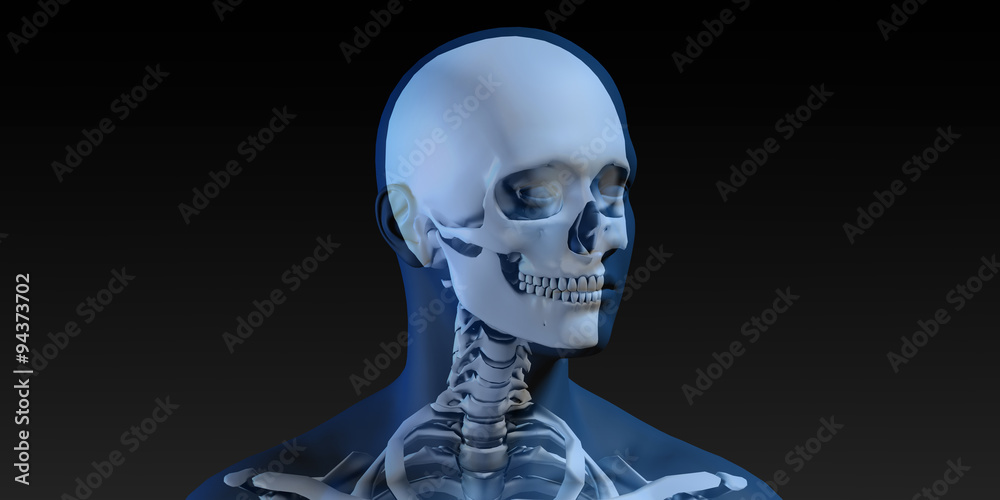 Radiography Scan with Bones Radiography Scan with Bones