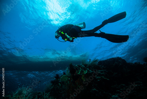 scuba diving diver woman sea underwater coral indonesia bali girl