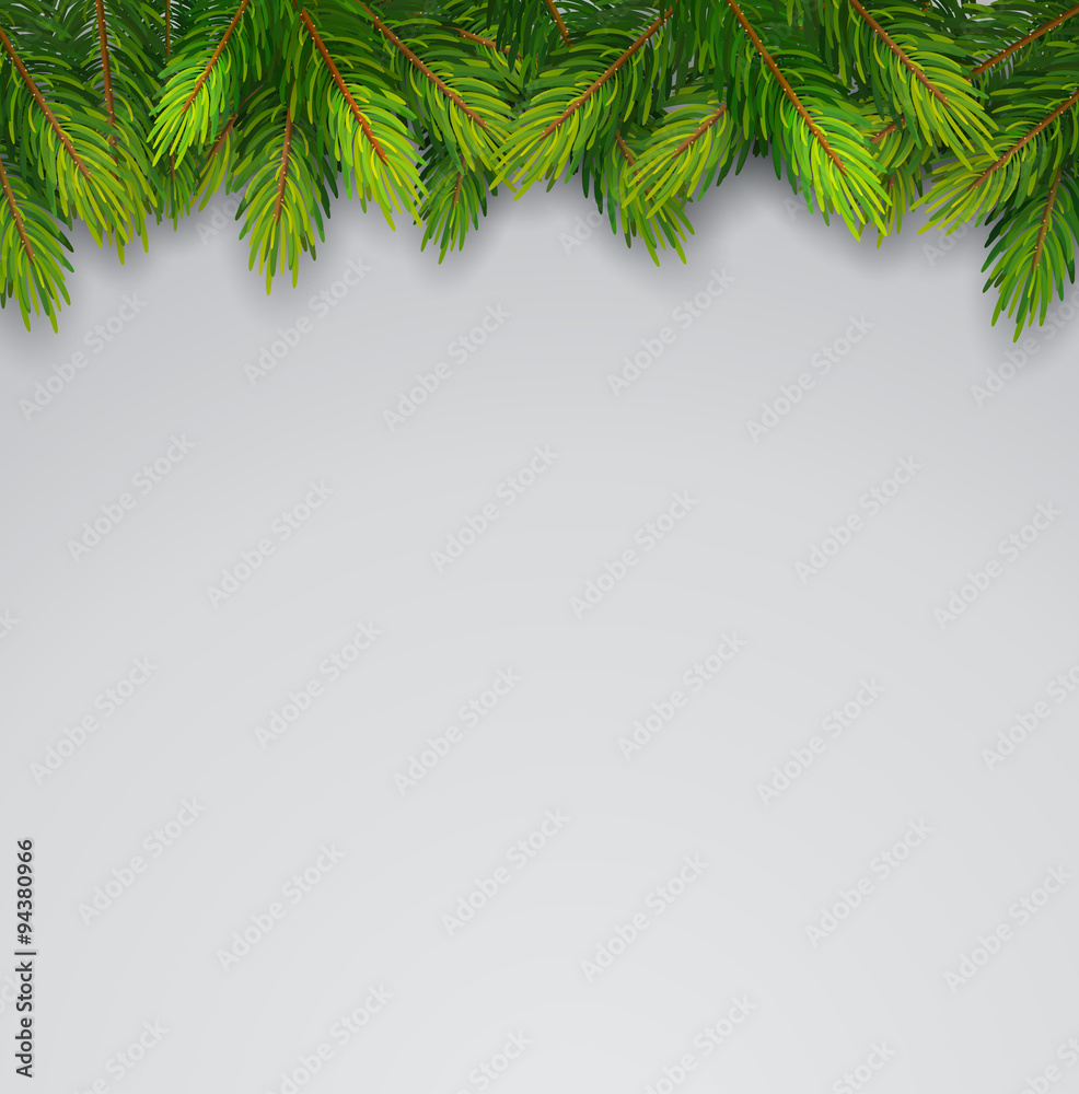 Christmas background with fir branches