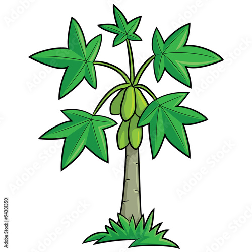 Papaya Tree Cartoon
Illustration of cute cartoon papaya tree.