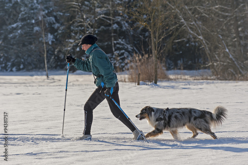 Skilanglauf mit Hund