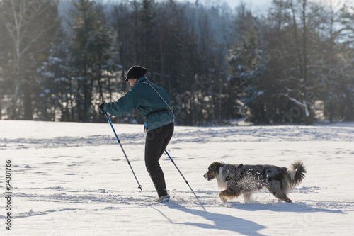 Skilanglauf mit Hund