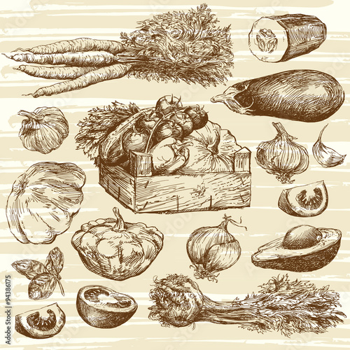 vegetables - hand drawn collection
