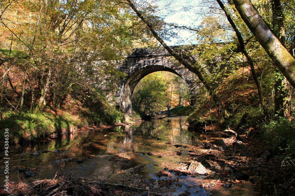 Cours d'eau en automne.