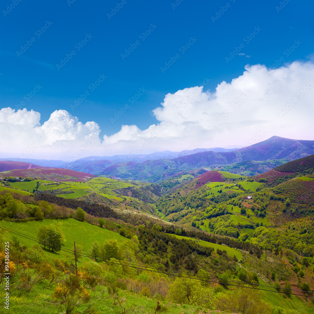 Obraz premium O Cebreiro mountains by the way of Saint James