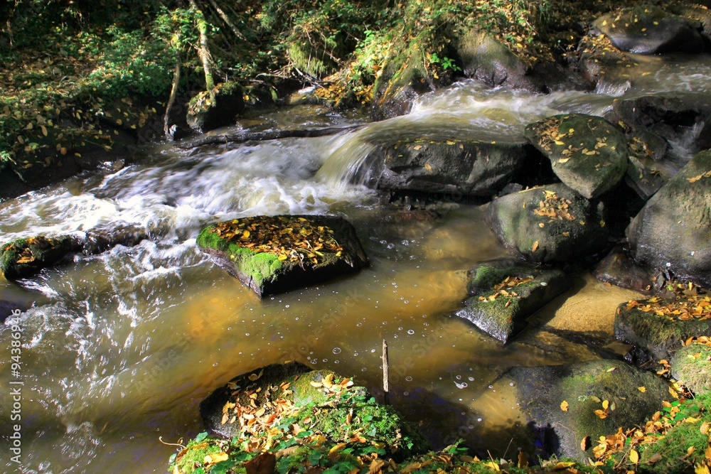 Fototapeta premium Cours d'eau en automne.