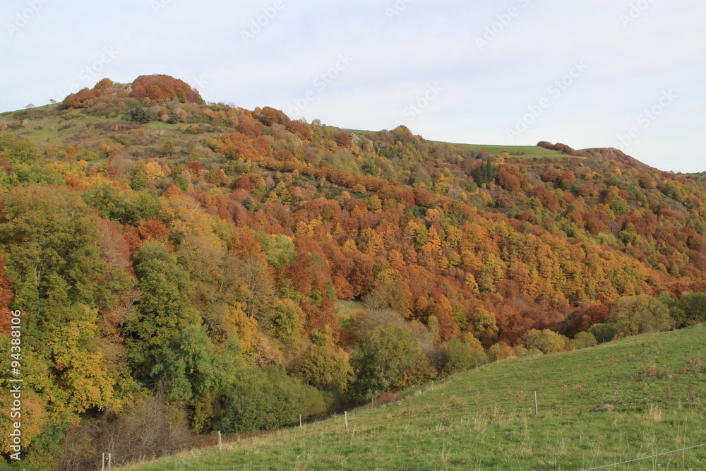 Naklejka premium automne en Auvergne