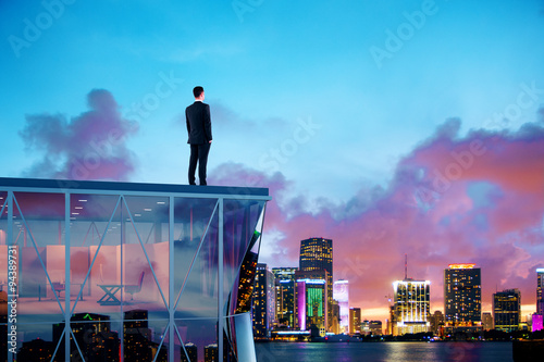 Businessman standing on the roof of a skyscraper and looking ove © Who is Danny