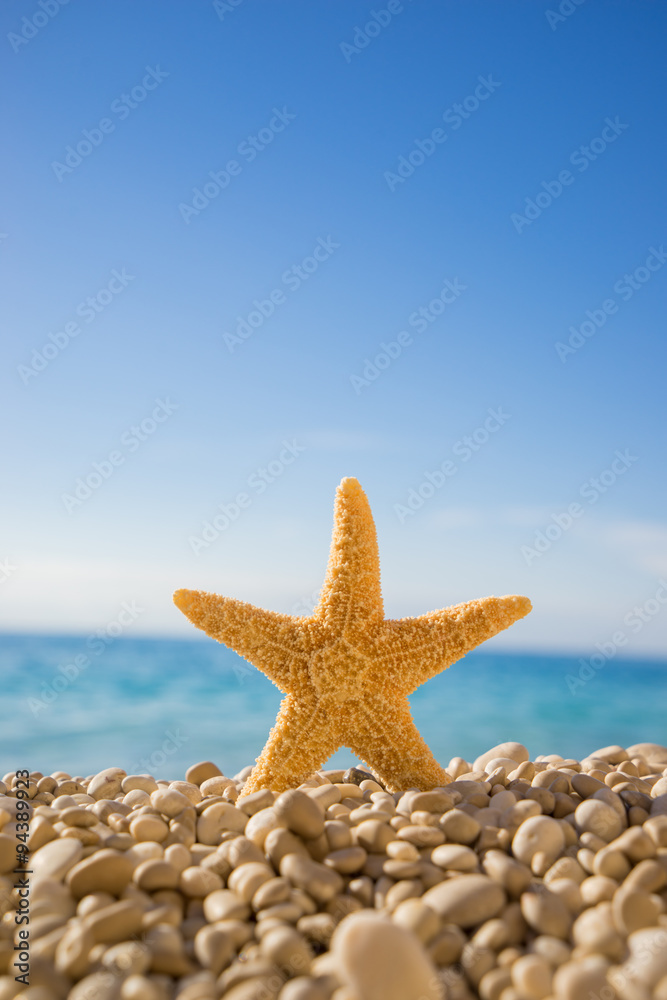 Starfish on Porto Katsiki beach on Ionian Sea Lefkada Starfish on Porto Katsiki beach on Ionian Sea Lefkada