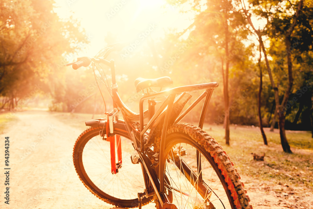 Obraz premium Close up of a red and black mountain bicycle with morning sun.