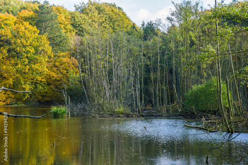 Herbststimmung am See