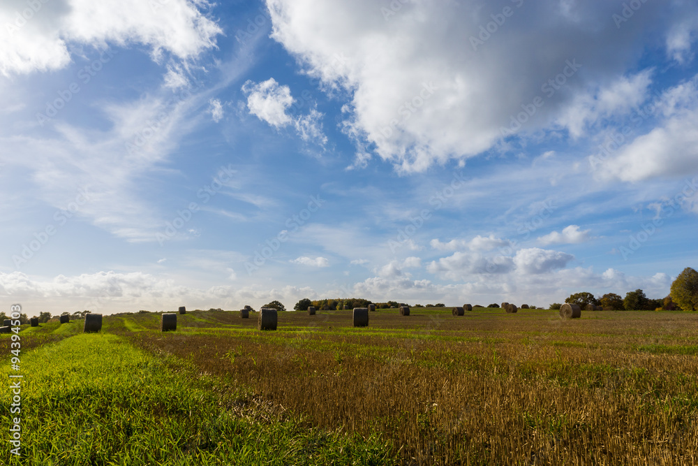 Getreide Feld nach der Ernte