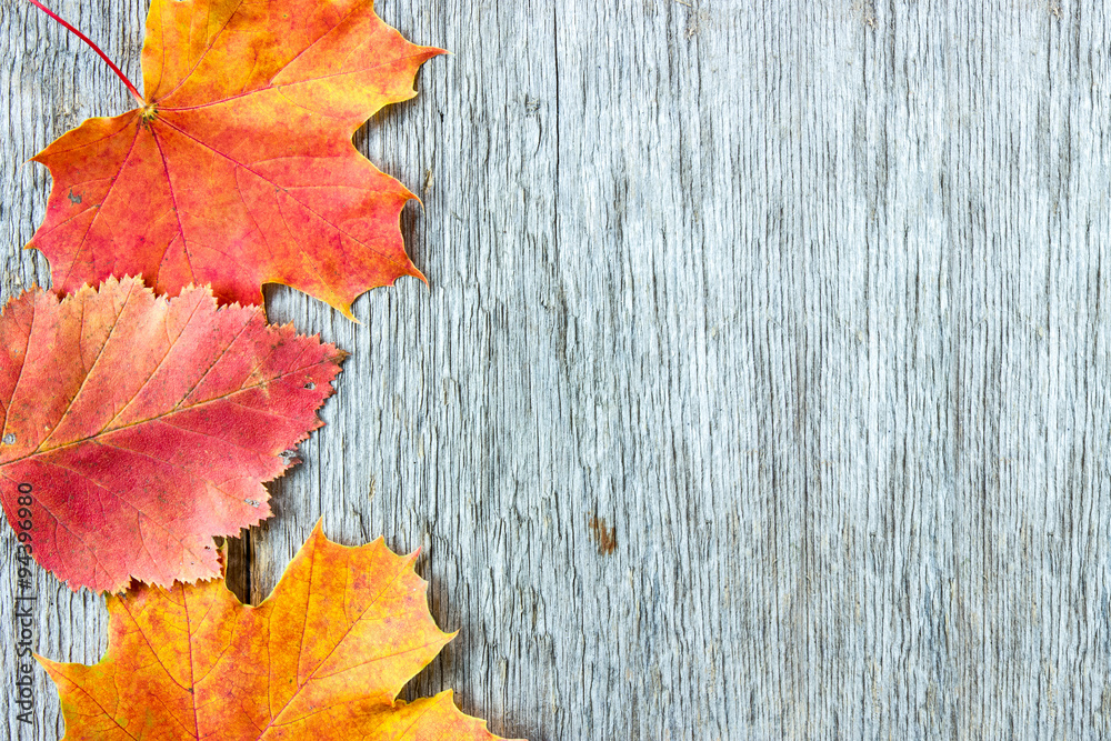 Old wooden background and  autumnal leaves