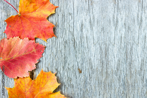 Old wooden background and autumnal leaves