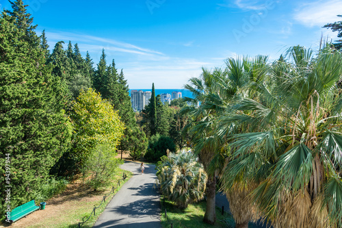 In the Park-the arboretum of Sochi.