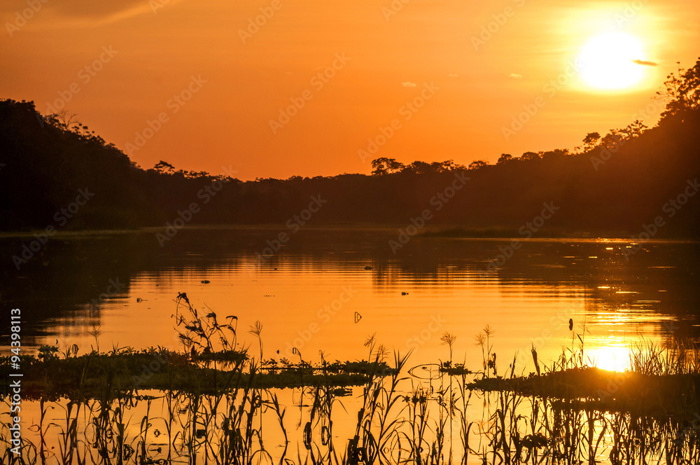 Naklejka premium River in the Amazon Rainforest at dusk, Peru, South America