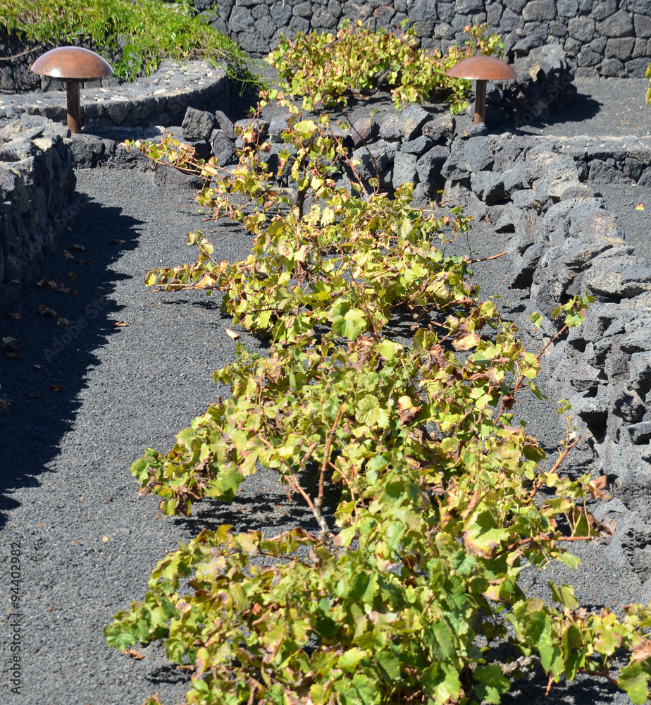 Obraz premium Monumento al Campesino (06)