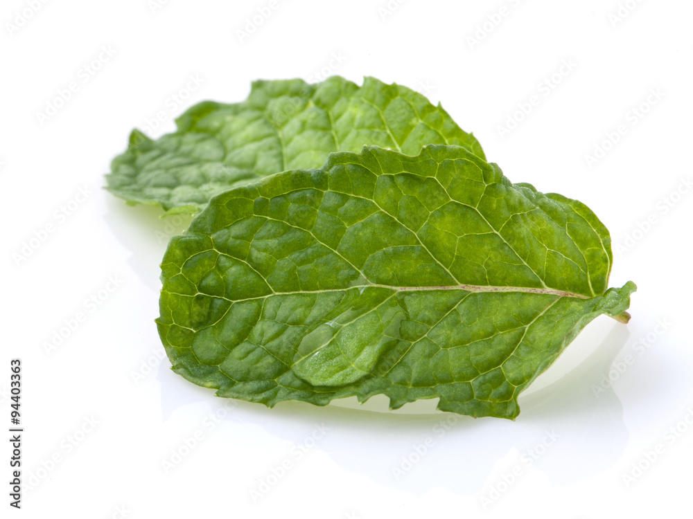 Close up Green mint leavs with water drop isolate on white backg Close up Green mint leavs with water drop isolate on white backg
