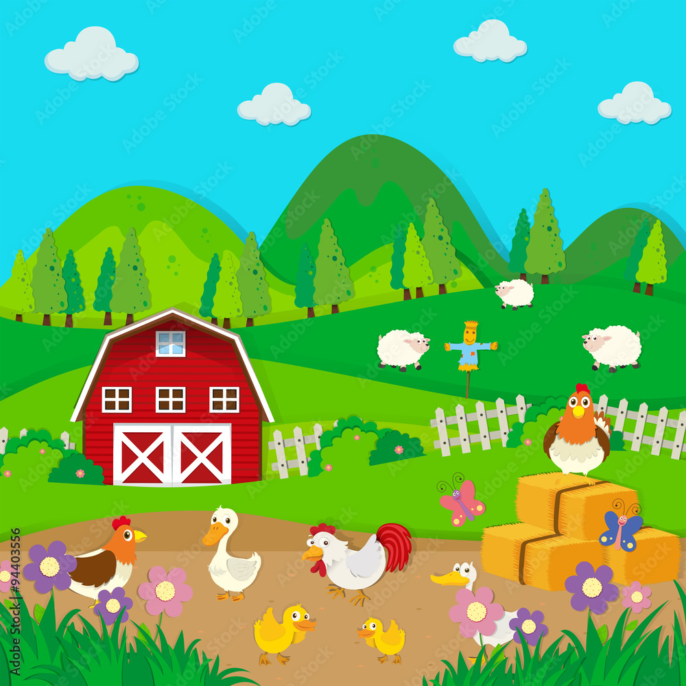 Chickens and ducks on the farm
