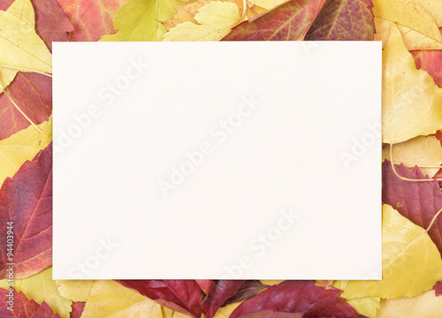 Sheet of paper on a autumn leaves.