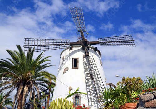 Windmill and tropical plants in Tenerife,Canary Islands.